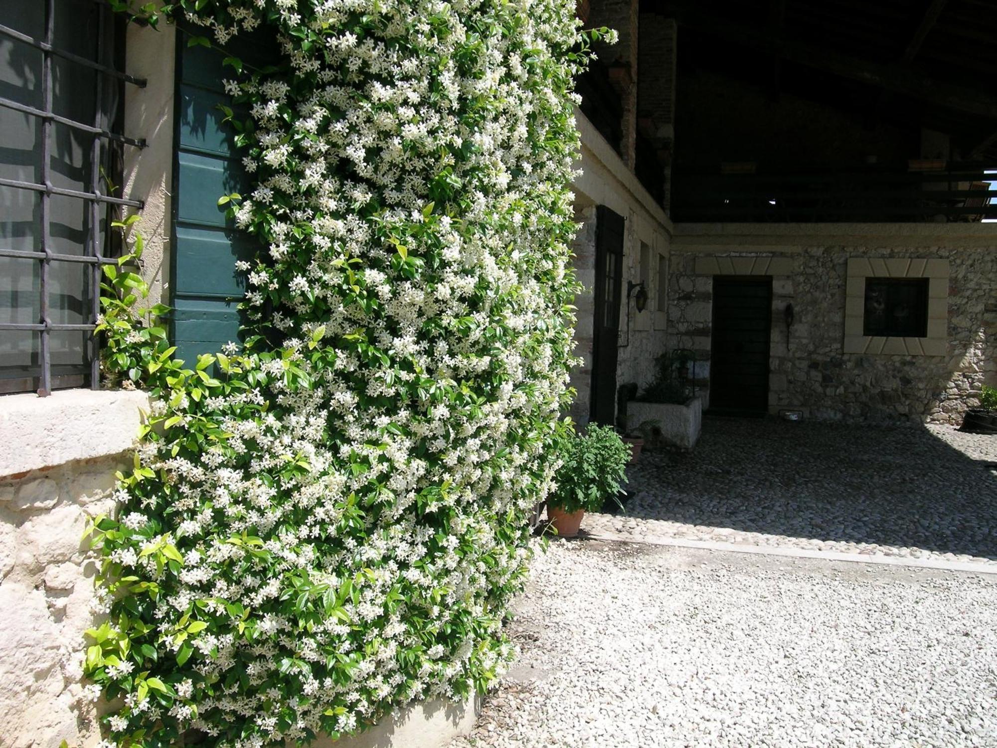 I Costanti Villa Caldiero Bagian luar foto