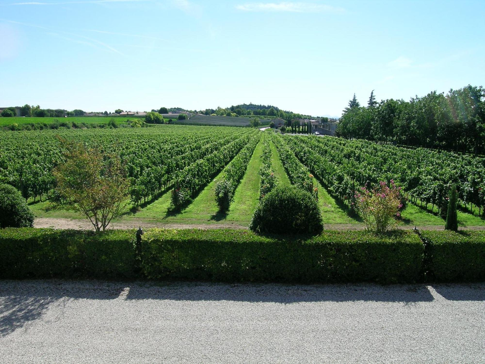 I Costanti Villa Caldiero Bagian luar foto