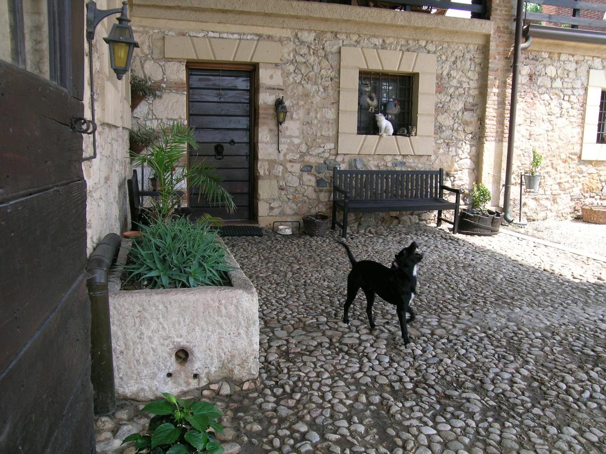 I Costanti Villa Caldiero Bagian luar foto